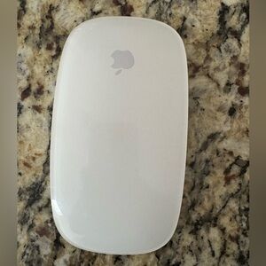 Apple Magic Mouse 1.  EUC
Come with original case.